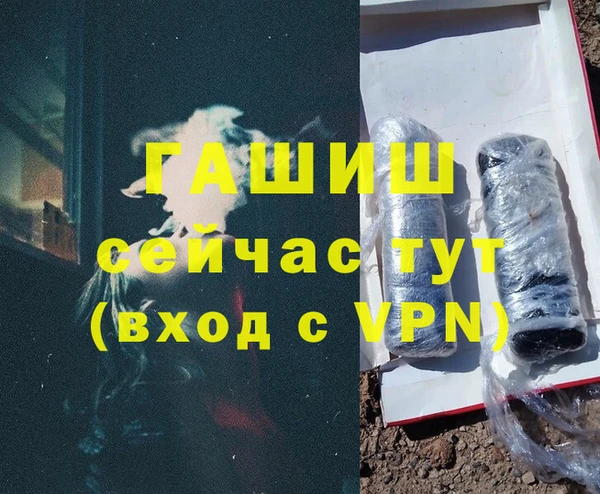 крисы Бородино