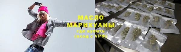 крисы Бородино