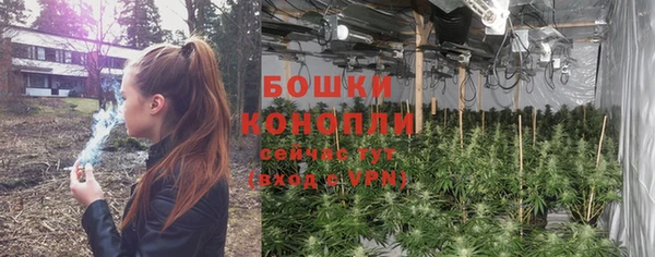 соль ск Богородицк
