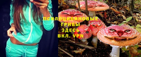 соль ск Богородицк