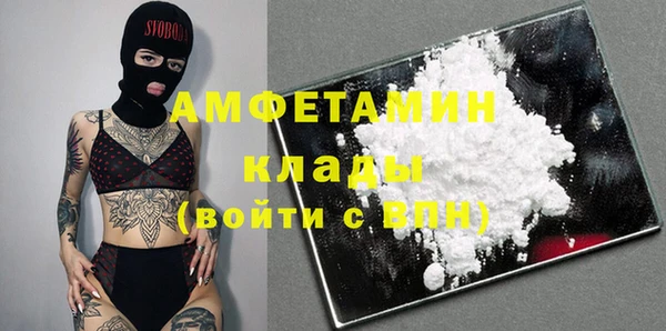 крисы Бородино