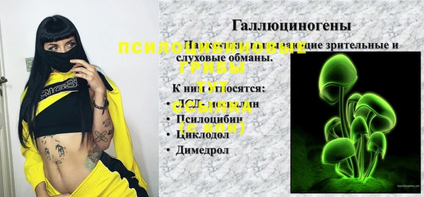 соль ск Богородицк
