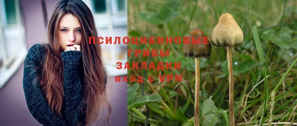прущая мука Богданович