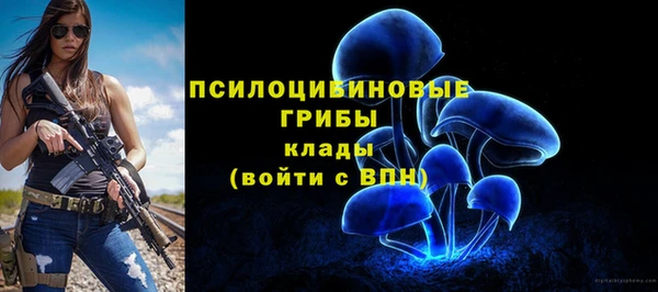 соль ск Богородицк