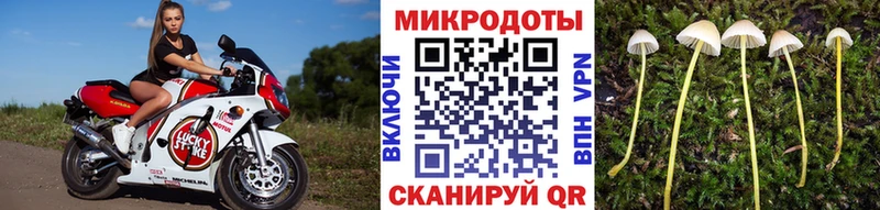 гидра tor  Котово  Псилоцибиновые грибы Magic Shrooms  купить  сайты 