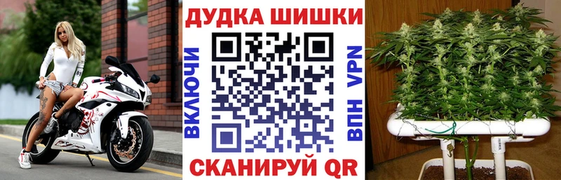 Марихуана индика  наркошоп  Котово 